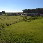 Sa Pigalva * Tula