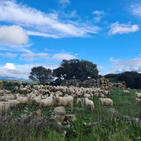 Κατάλυμα σε φάρμα Sa Pigalva
