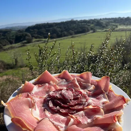 Sa Pigalva
