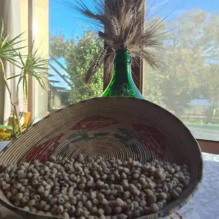 Sa Pigalva ファームステイ *