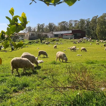 Sa Pigalva ファームステイ