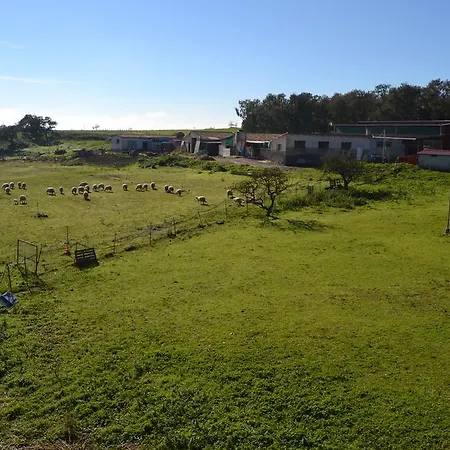 Sa Pigalva * Tula