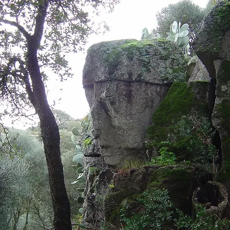 Sa Pigalva ファームステイ Tula