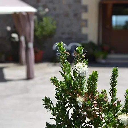 Farm stay Agriturismo Sa Pigalva