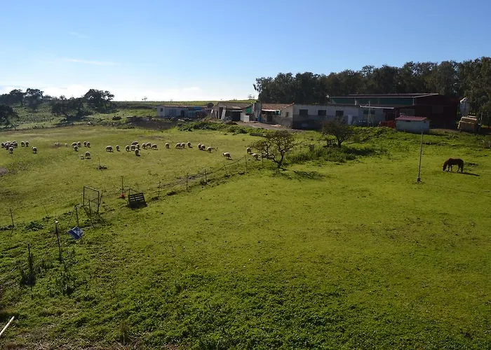 Sa Pigalva * Tula